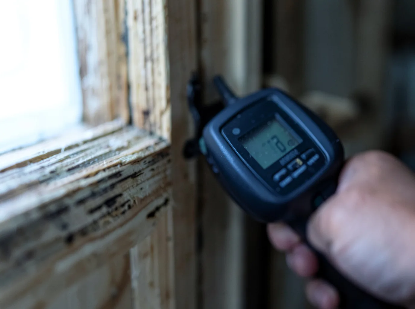 Moisture Inspection And Documentation in Buckatunna, MS